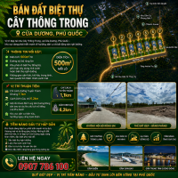 Bán Đất Biệt Thự Cây Thông Trong Cửa Dương Phú Quốc – Diện Tích 500m², Vị Trí Tiềm Năng Đầu Tư