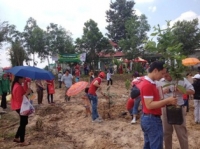 Dự án Eco sun tổ chức ngày hội trồng cây