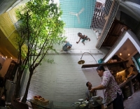 Độc Đáo Ngôi Nhà Tổ Chim Ở Sài Gòn