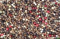 Các loại tiêu thường dùng và cách nhận biết