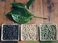 Tiêu Phú Quốc được dùng để chế biến món gì?