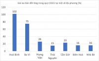 'Sốt đất' khắp nơi, khu vực nào tăng nhiều nhất?