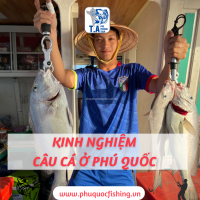 Kinh nghiệm câu cá ở phú quốc