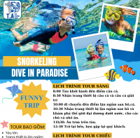 Câu cá lặn ngắm san hô ở phú quốc