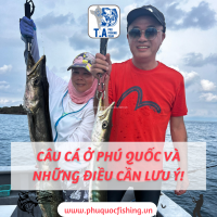 Câu cá ở phú quốc và những điều cần lưu ý!