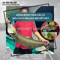 Đừng book tour câu cá nếu chưa xem qua bài viết này!
